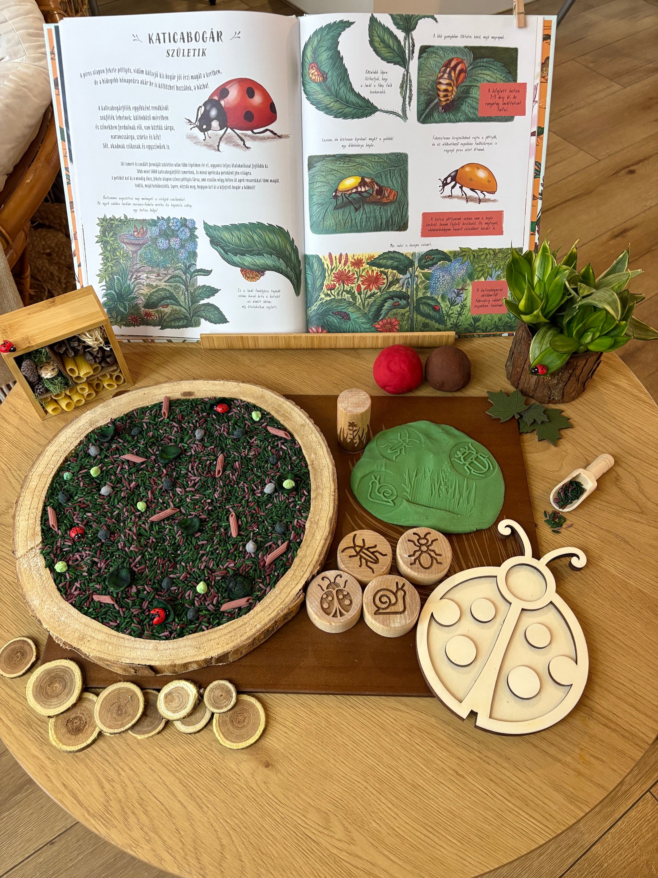 Bogárles - Gyurmabox