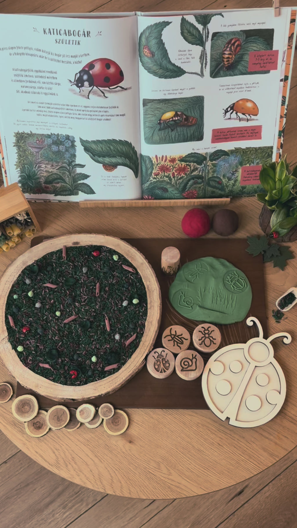 Bogárles - Gyurmabox